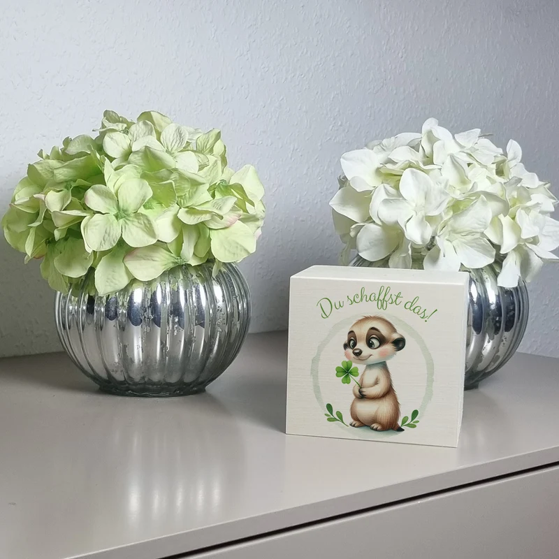 Erdmännchen mit Kleeblatt Spardose mit Spruch Du schaffst das