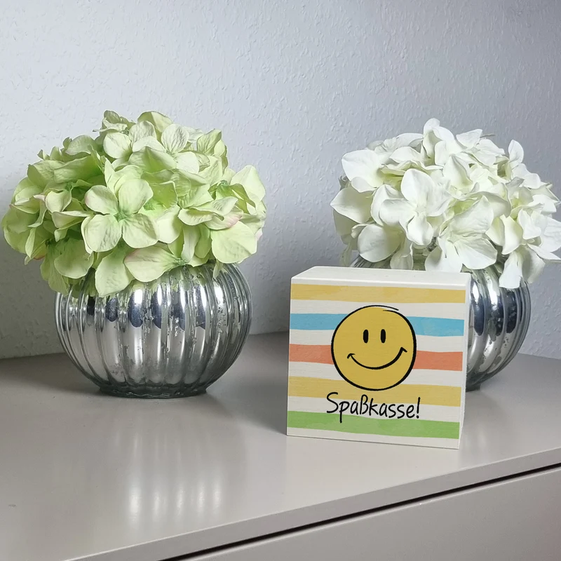 Emoticon Spardose mit Spruch Spaßkasse