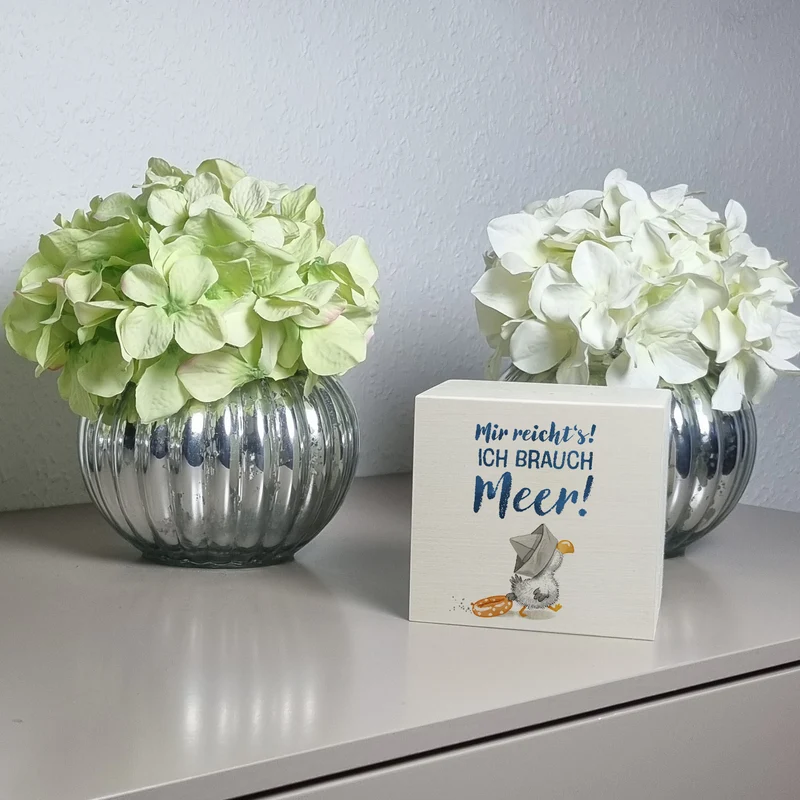 Möwe mit Schwimmreifen Spardose mit Spruch Mir reicht‘s ich brauch Meer