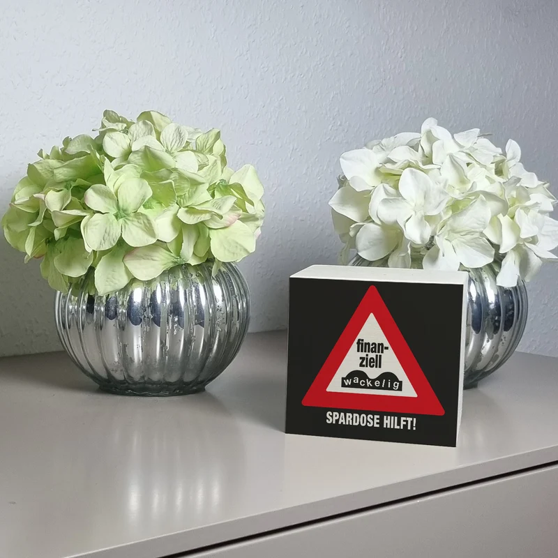Straßenschild Spardose mit Spruch Finanziell wackelig - Spardose hilft!