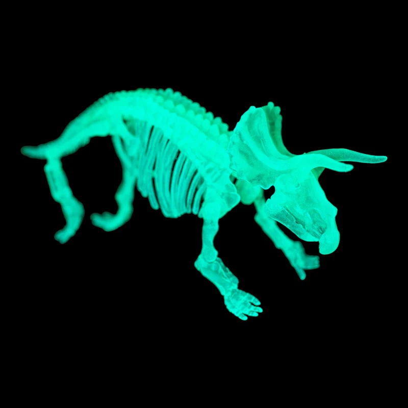 DIY Dinosaurier Skelett Bausatz Glow in the Dark Dino in zufälliger Variante