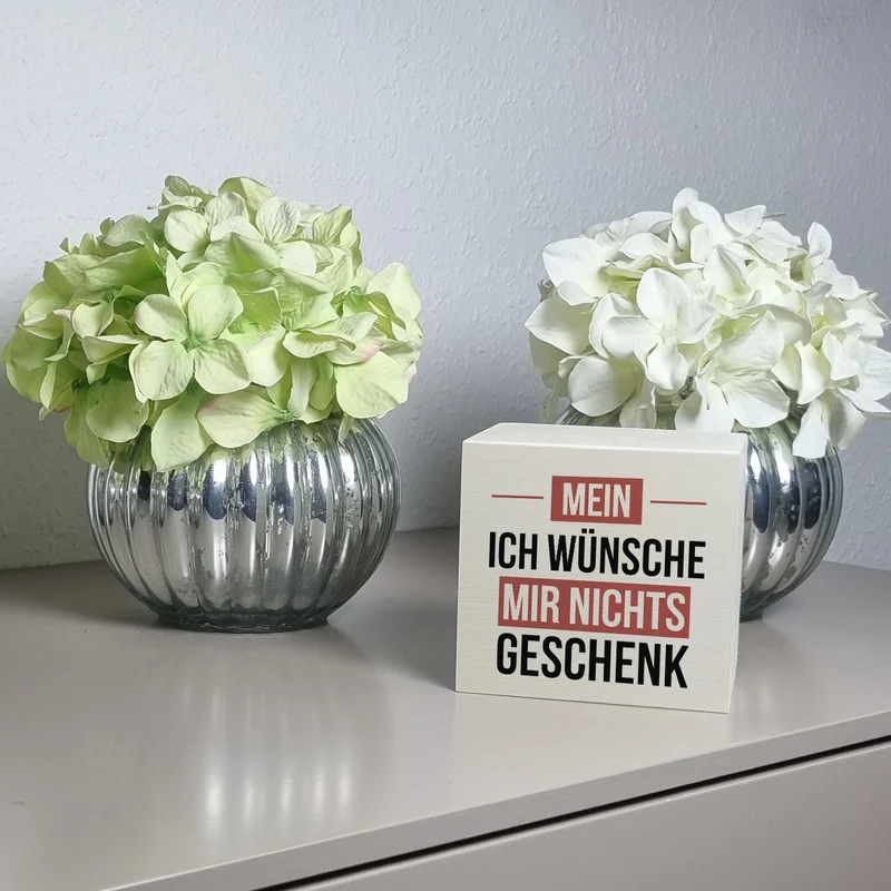 Mein ICH WÜNSCHE MIR NICHTS Spardose