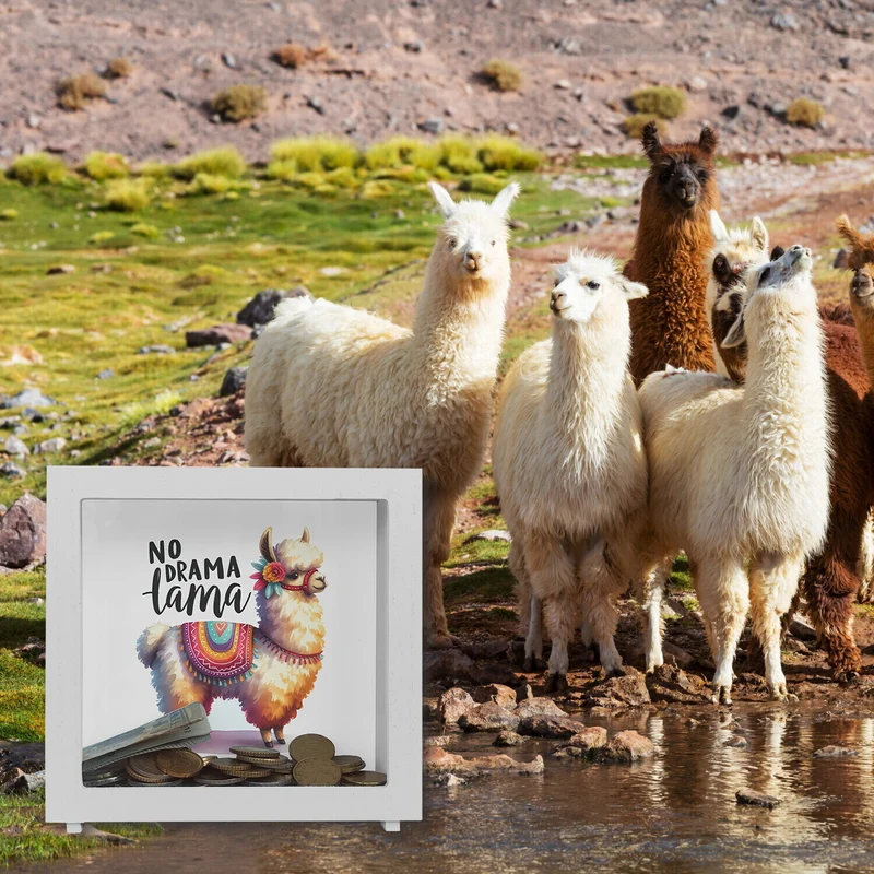 Alpaka mit bunter Satteldecke Spardose mit Spruch No Drama Lama