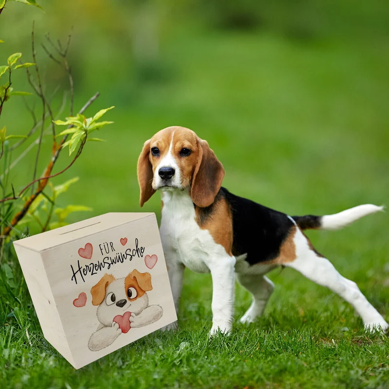 Hund Spardose mit Spruch Für Herzenswünsche