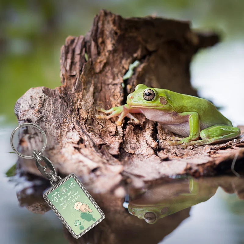Otter und Frosch Schlüsselanhänger mit Spruch Glück ist Lebensweise kein Ziel