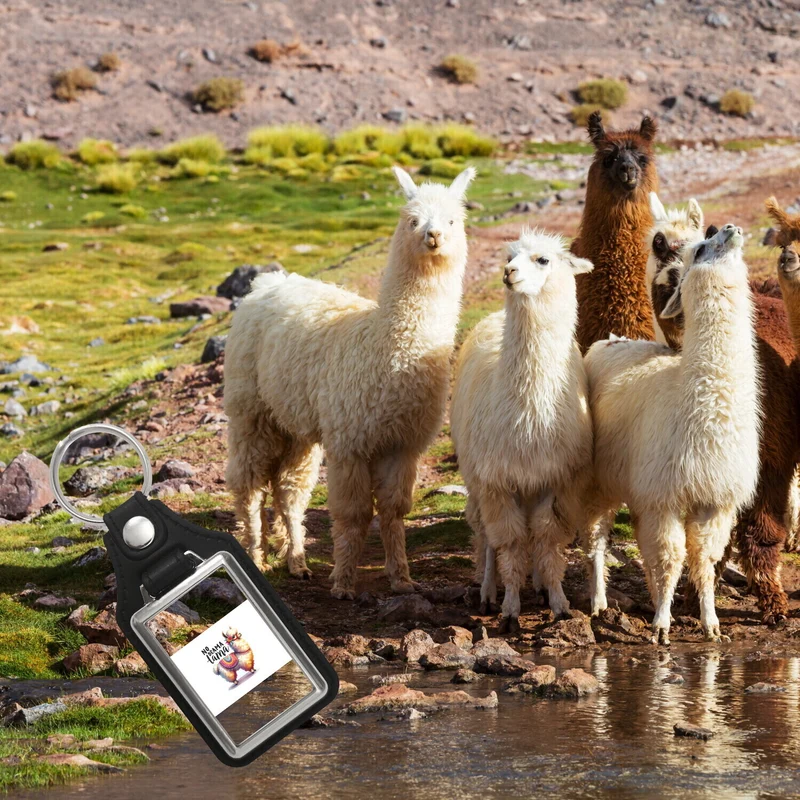 Alpaka mit bunter Satteldecke Schlüsselanhänger mit Spruch No Drama Lama