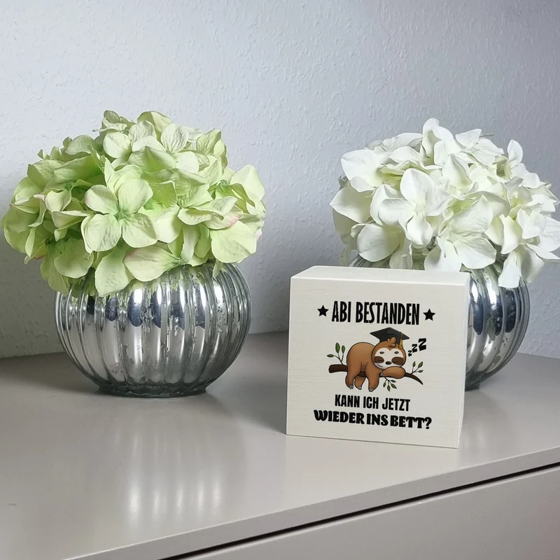 Abi bestanden Faultier Spardose mit Spruch zurück ins Bett