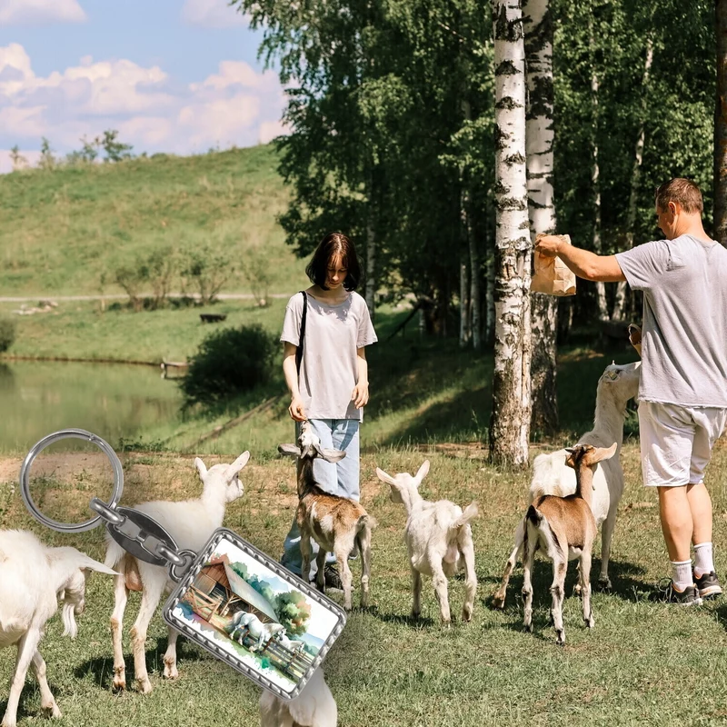 weiße Pferde auf der Koppel Schlüsselanhänger