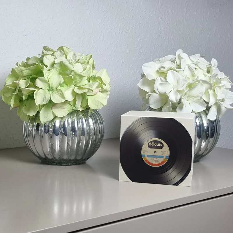Schallplatte Retro Spardose