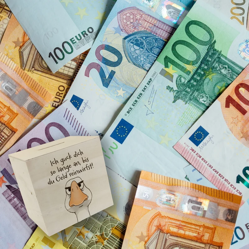 Gilbert die Gans Spardose mit Spruch Anstarren bis Geld fließt