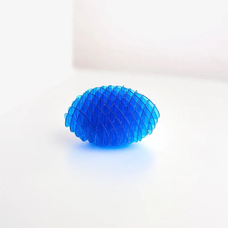 Fidget Worm Toy