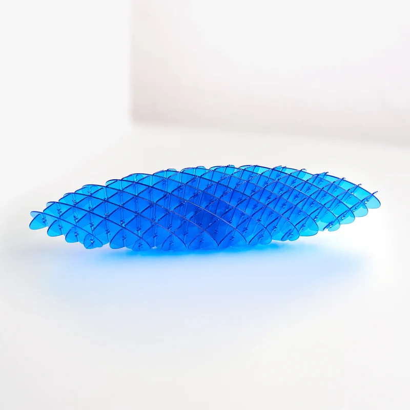 Fidget Worm Toy
