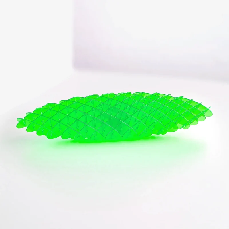 Fidget Worm Toy