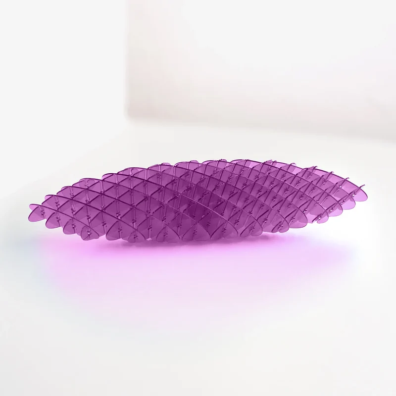 Fidget Worm Toy