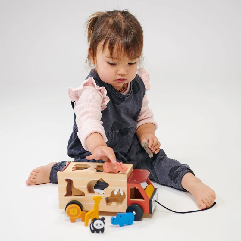 Explorer's Sorting and Stacking Bundle