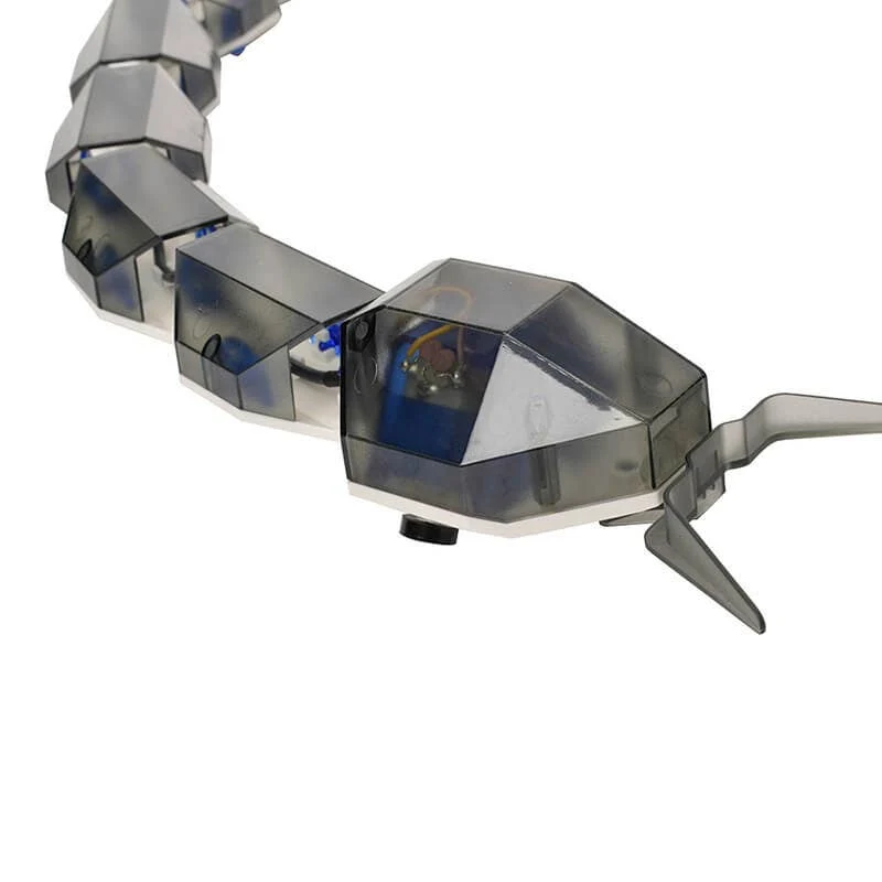 Bionic Snake STEM Science Set