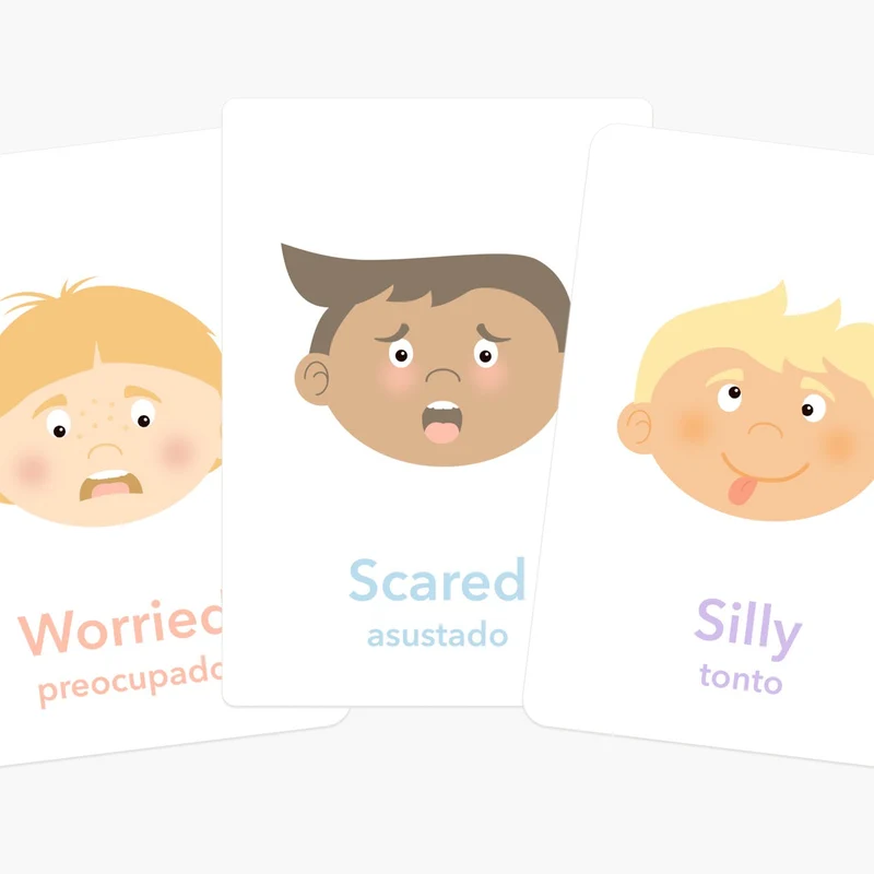 Emotions Flashcards