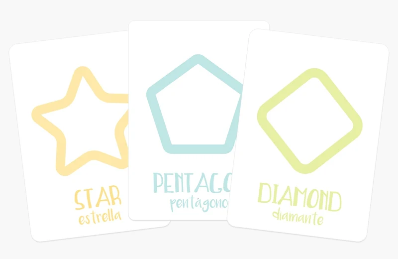 Montessori Flashcards Basics Bundle