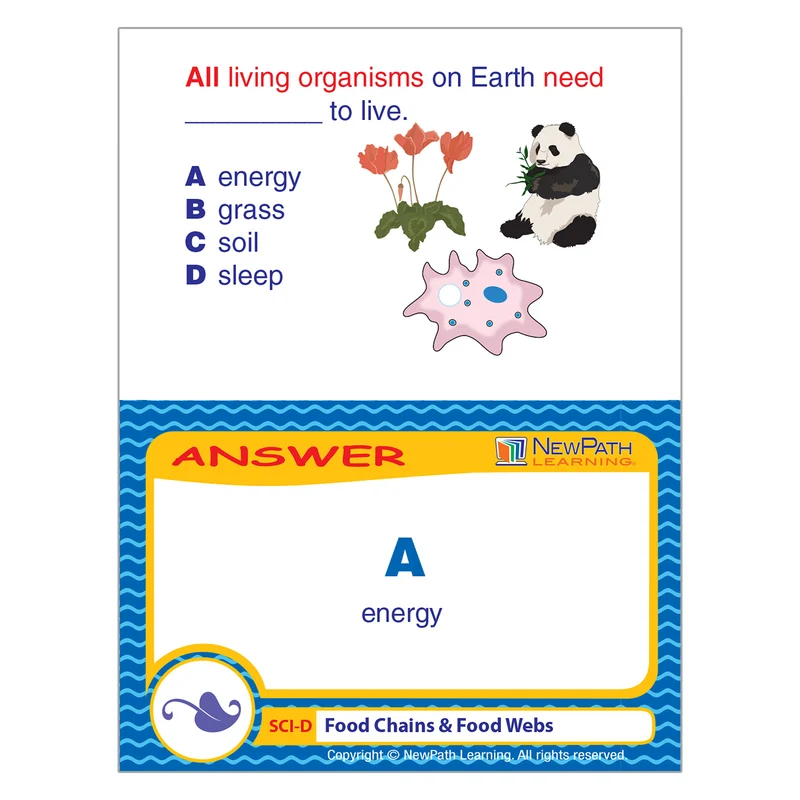 Food Chains & Food Webs Learning Center