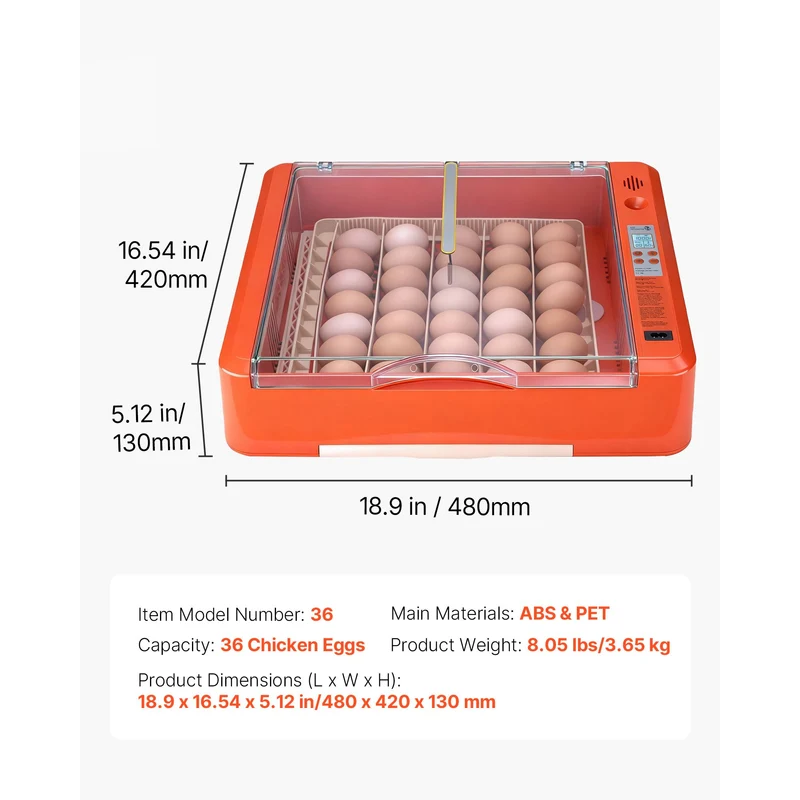 Animal Science Curriculum Kit: Chicken Life Cycle