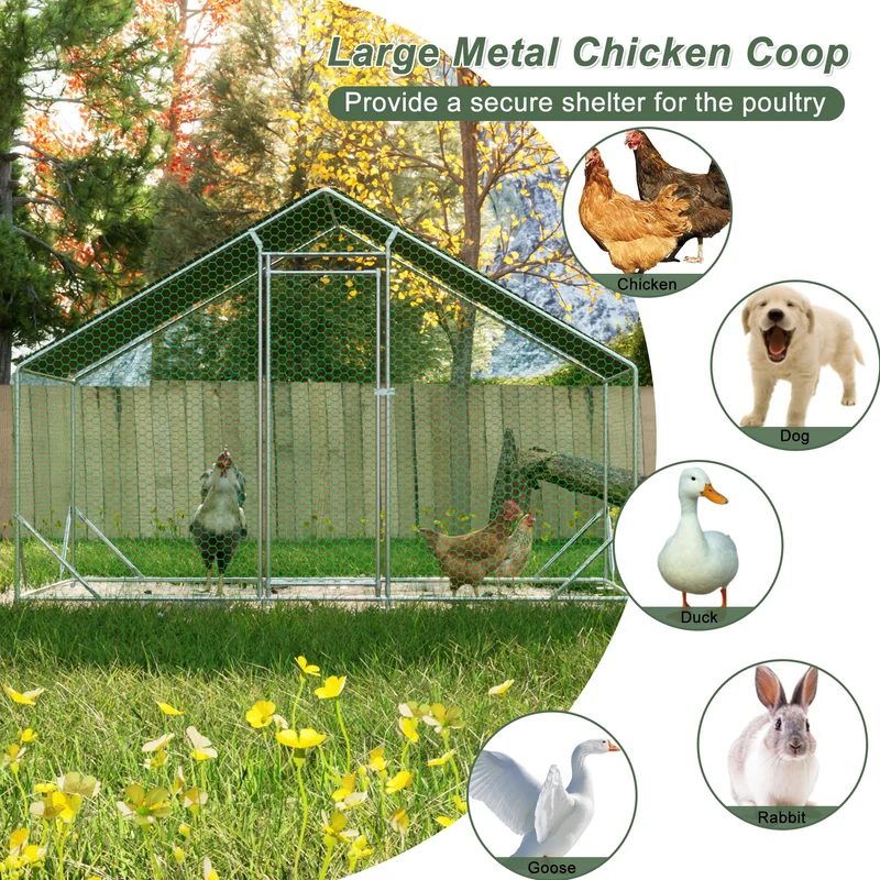 Animal Science Curriculum Kit: Chicken Life Cycle