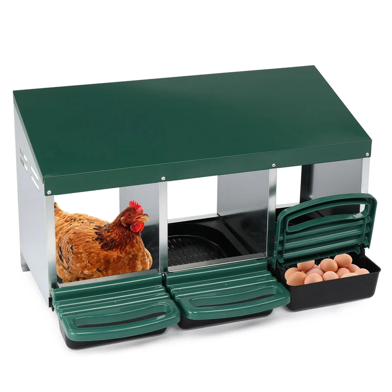 Animal Science Curriculum Kit: Chicken Life Cycle