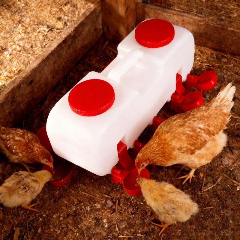 Animal Science Curriculum Kit: Chicken Life Cycle