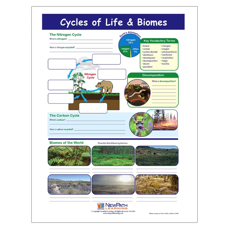 Cycles of Life & Biomes Learning Center