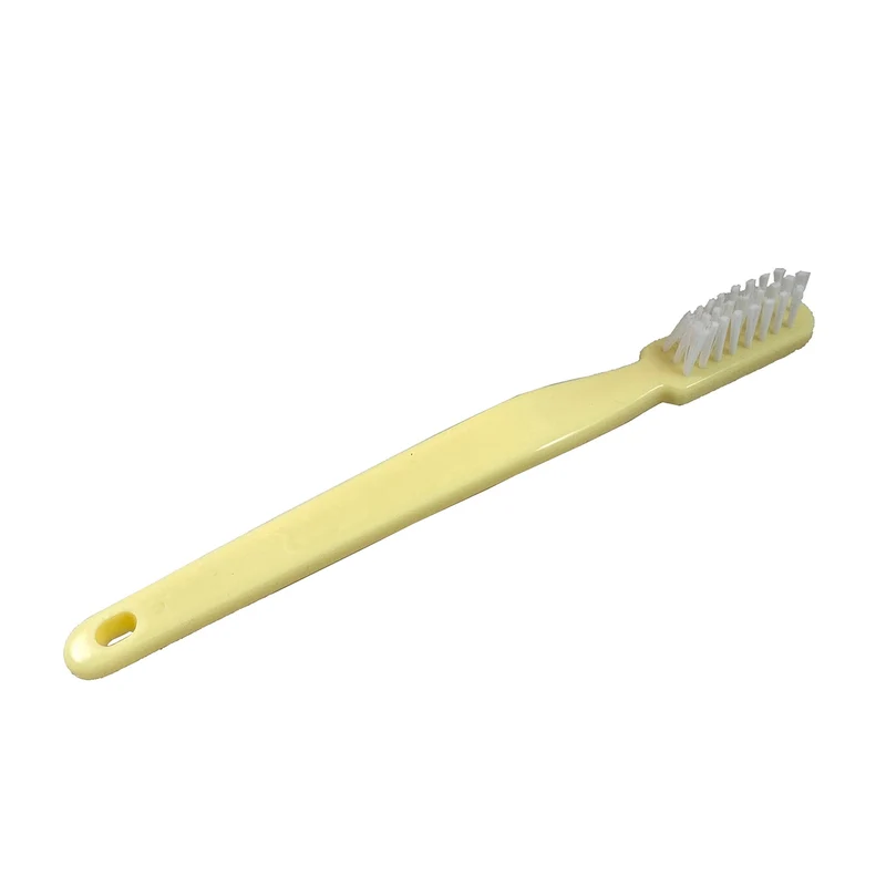 Oral Hygiene Model