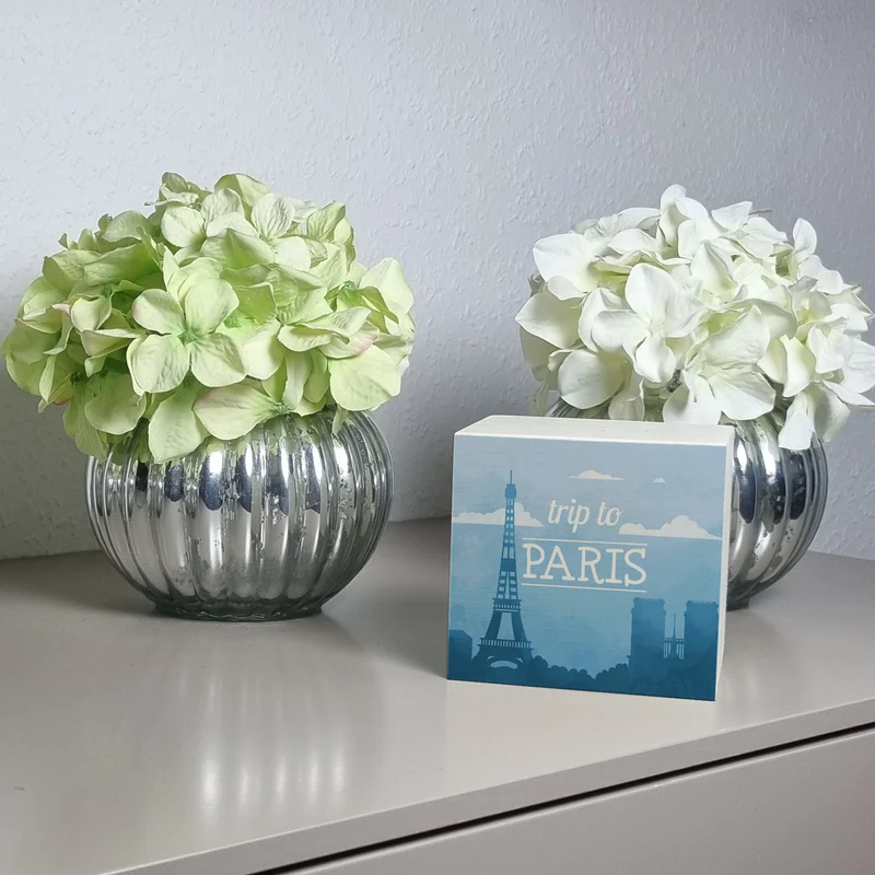 Spardose mit schönem Motiv und Text - Trip to Paris