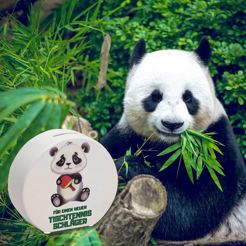 Für einen neuen Tischtennis Schläger Panda Spardose
