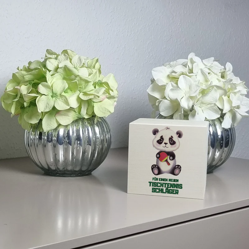 Für einen neuen Tischtennis Schläger Panda Spardose