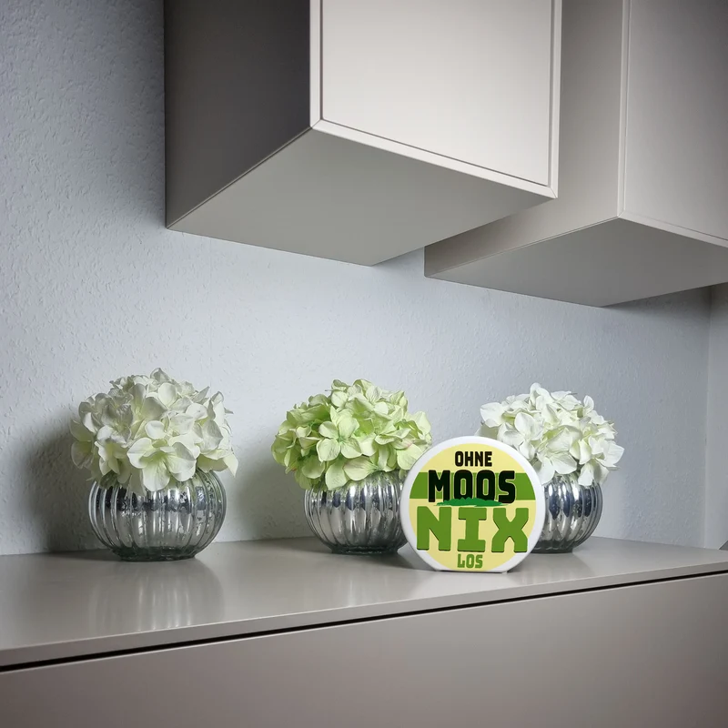 Spardose mit lustigem Motiv und Spruch: Ohne Moos nix los
