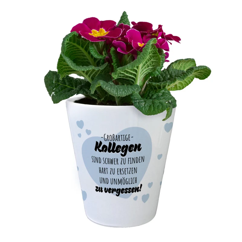 Herzen Blumentopf mit Spruch Großartige Kollegen
