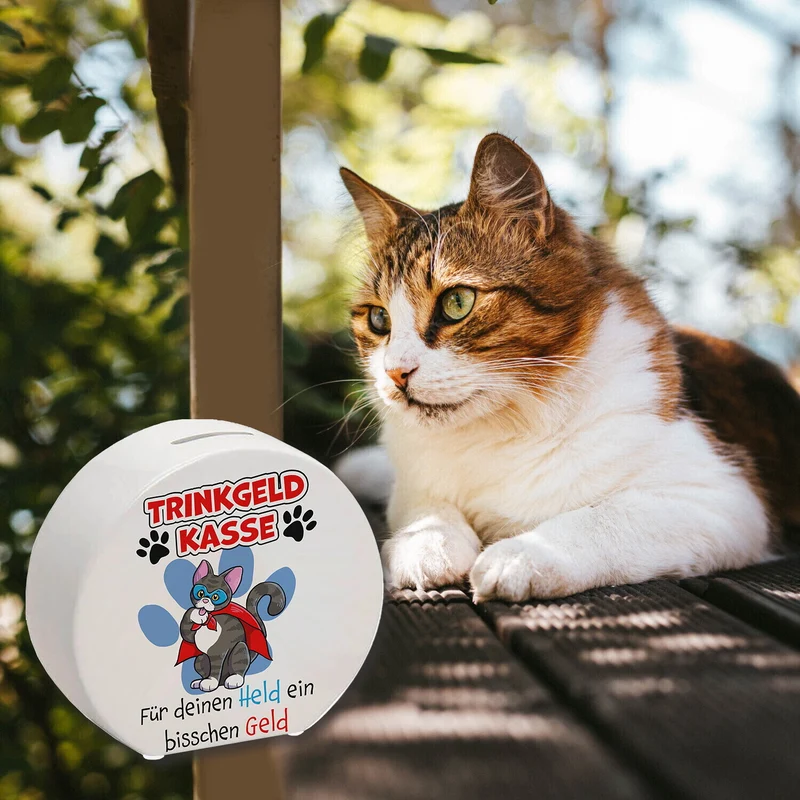 Spardose für Trinkgeld mit Katze und Spruch: Für deinen Held ein bisschen Geld