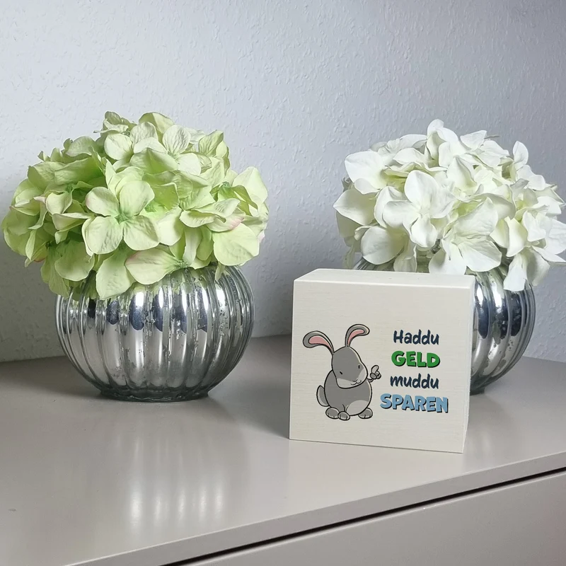 Spardose mit Hasenmotiv und lustigem Spruch - Haddu Geld muddu sparen