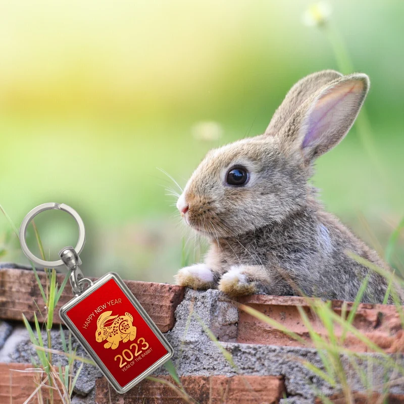 Happy New Year of the Rabbit 2023 Schlüsselanhänger mit Kaninchen