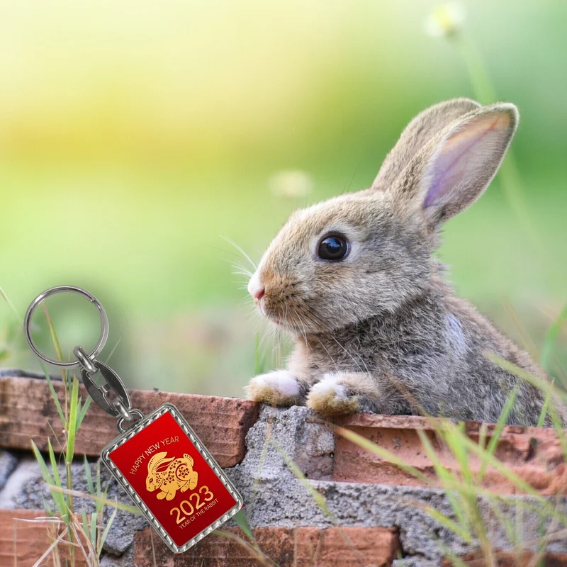Happy New Year of the Rabbit 2023 Schlüsselanhänger mit Kaninchen