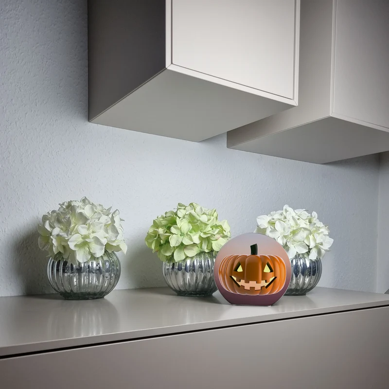 Halloween Kürbis Spardose