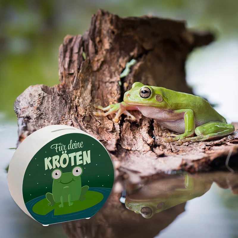 Spardose für Kinder mit niedlichem Frosch und Spruch - Für deine Kröten