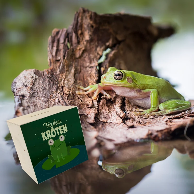 Spardose für Kinder mit niedlichem Frosch und Spruch - Für deine Kröten