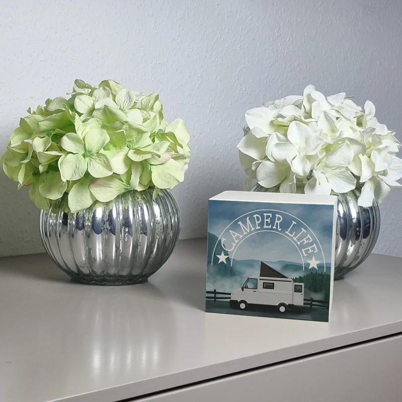 Camper Life mit Campervan Spardose