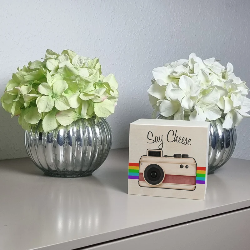 Say Cheese Spardose mit Retro Kameramotiv