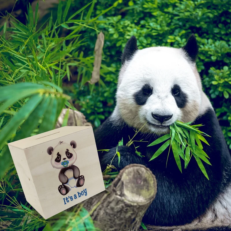 It's a boy Baby Panda Spardose