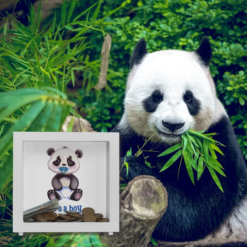 It's a boy Baby Panda Spardose