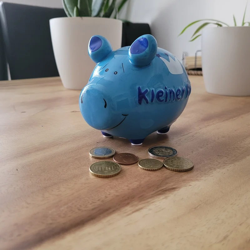 Kleiner Prinz Sparschwein