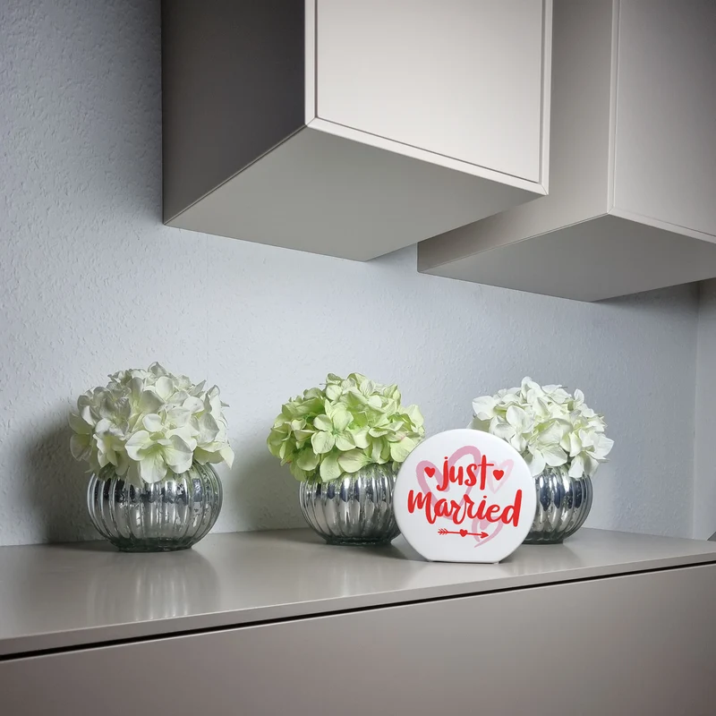 Just married Hochzeit Spardose mit Spruch
