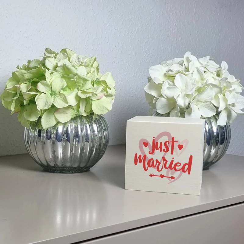 Just married Hochzeit Spardose mit Spruch