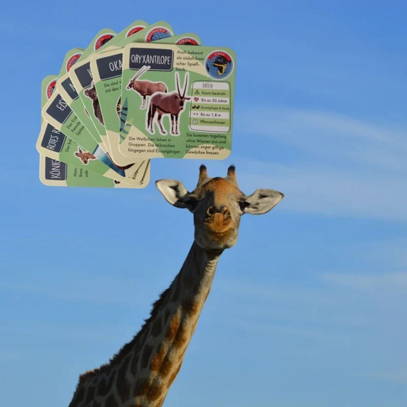 Tierisches Lernquiz Gesellschaftsspiel mit Sanduhr und Würfel