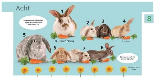 Erstes Lernen. Zahlen